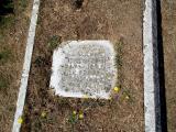 image of grave number 735982